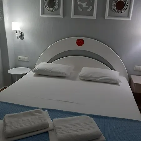 Elenas Apartment